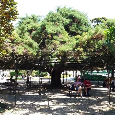 Old Town Principe Real 리스본