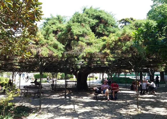 Old Town Principe Real 리스본